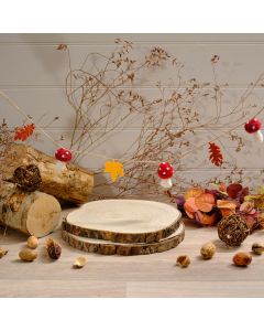 TOADSTOOL TALES MUSHROOM AND LEAF POLYESTER BUNTING