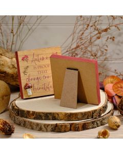 TOADSTOOL WOOD EASEL PLAQUE WITH 3D MUSHROOMS 2 ASSTD