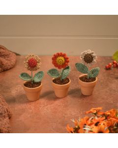 HAND CROCHET KNITTED FLOWER IN CLAY POT 3 ASSTD COLOURS