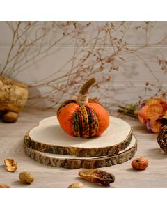 PUMPKIN BURNT ORANGE WITH PATCHWORK EFFECT, SMALL+