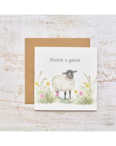 DIOLCH O GALON SHEEP WITH FLORAL CARD