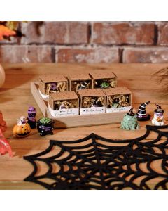 TINY WORLD RESIN HALLOWEEN BOXED KEEPSAKE 6 ASSTD WITH 9DS TRAY 36 ***