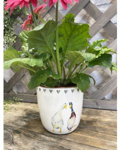 AUTUMN DUCK PLANT POT WHITE CERAMIC WITH HEART BORDER*++
