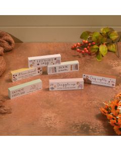 COSY CHAPTERS 6 ASSTD CHUNKY WOOD BLOCK