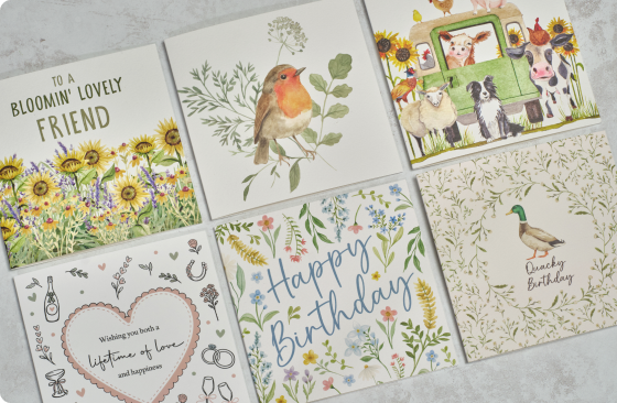 Greeting card collection